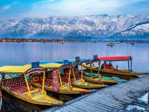 Kashmir Saver Deal